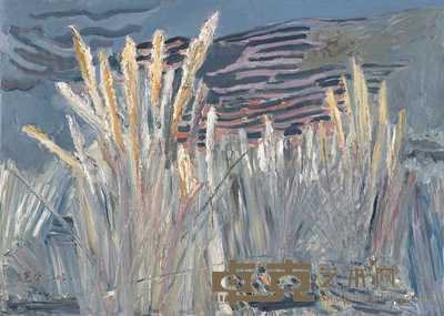王克举 2002年作 毛毛草 50×70cm
